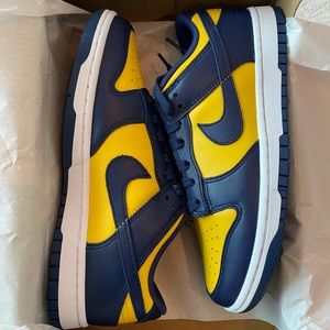 DS Nike Dunk Low Michigan 2021 DD1391-700 7.5M 9W